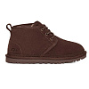 Ботинки Ugg на шнуровке (Коричневый)